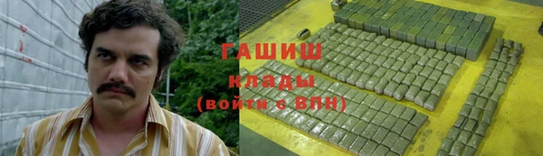 индика Алзамай