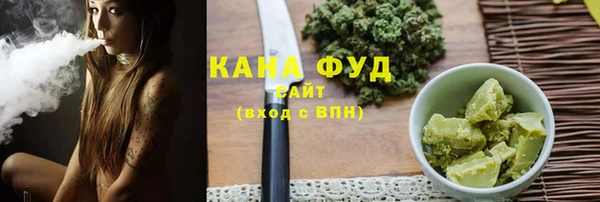 индика Алзамай