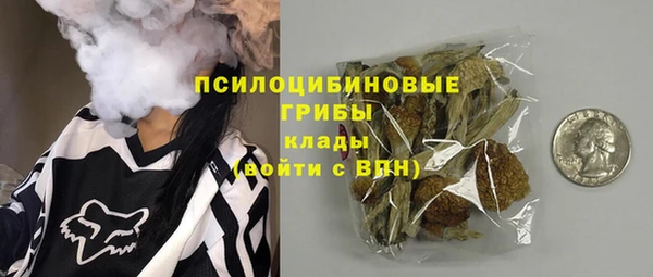 молекула духа Алексеевка