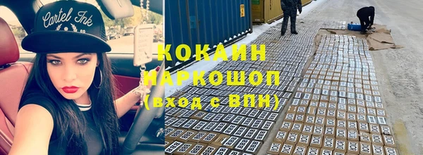 индика Алзамай