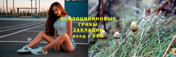 индика Алзамай